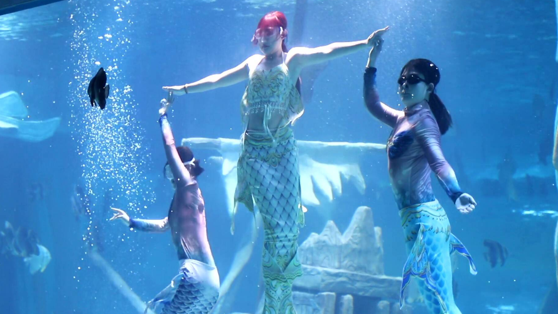 海洋館、火壺表演、潮冰秀……德百奧萊歡迎您